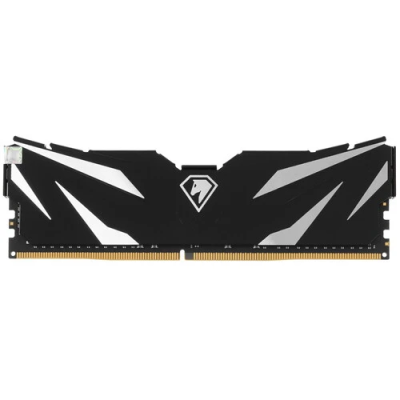 Модуль памяти 16Gb DDR4 3200Mhz Netac Shadow II  NTSWD4P32SP-16K  купить в Инфотех