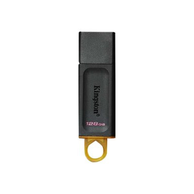 Флеш диск 128Gb Kingston Exodia DTX/128GB  USB3.2  купить в Инфотех